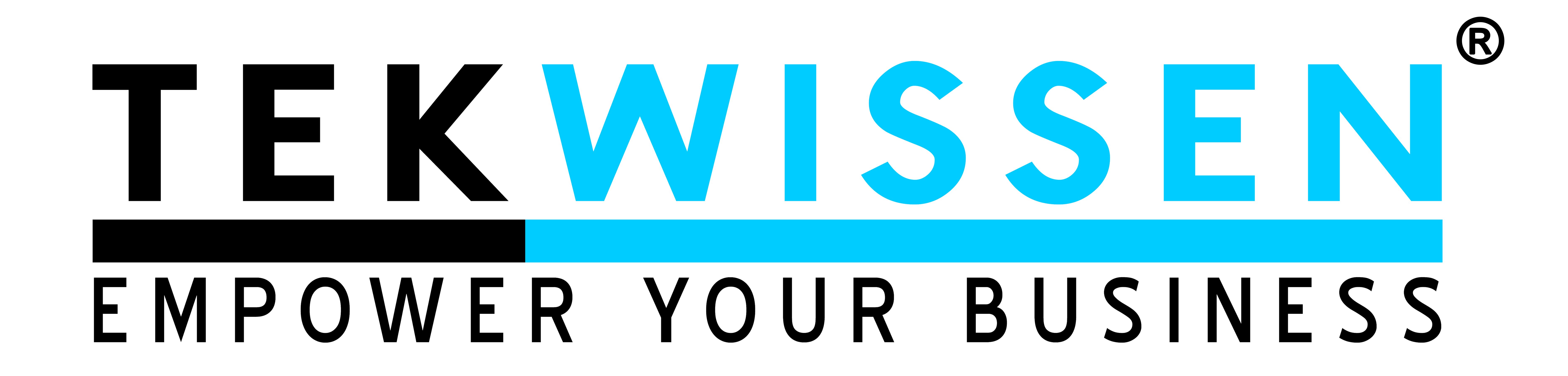 TEKWISSEN Logo